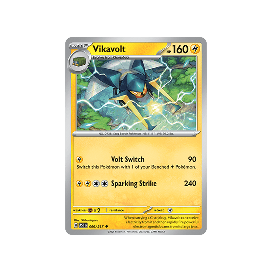 Vikavolt 066/217 - Inglés